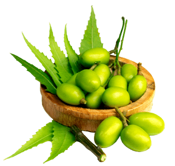 Aceite de neem